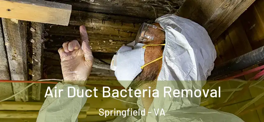 Air Duct Bacteria Removal Springfield - VA