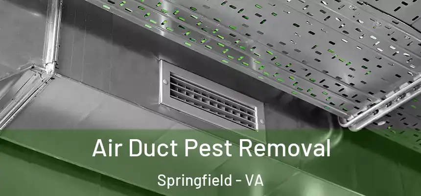 Air Duct Pest Removal Springfield - VA