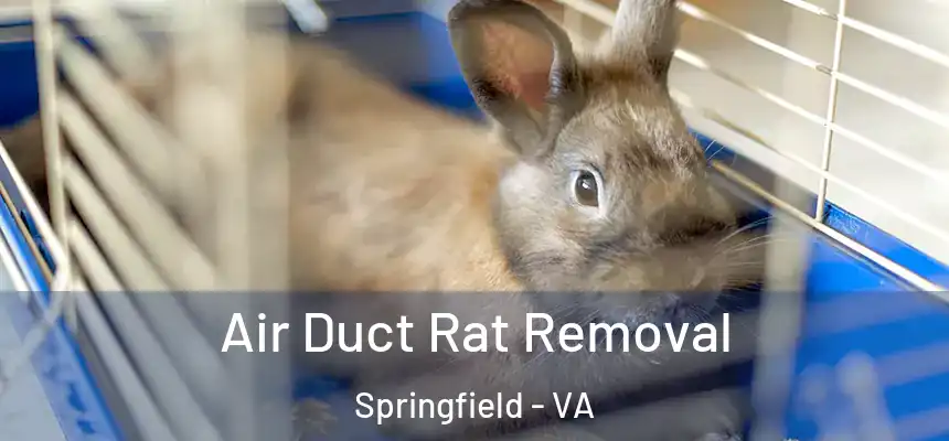  Air Duct Rat Removal Springfield - VA