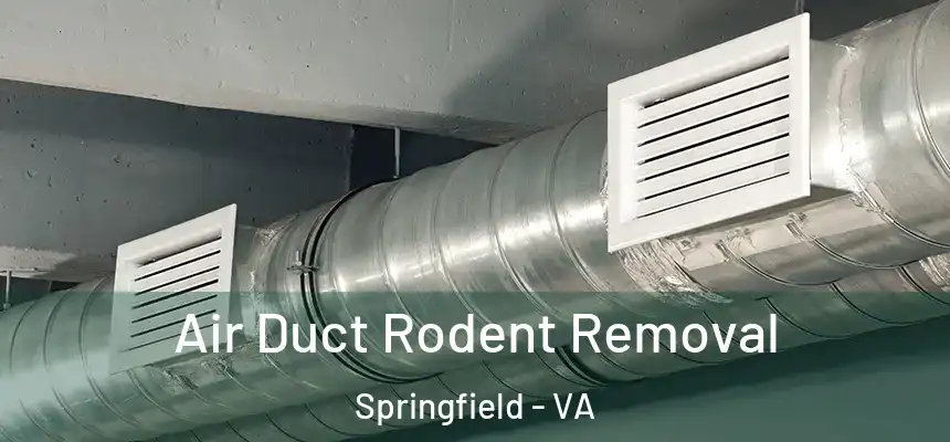  Air Duct Rodent Removal Springfield - VA