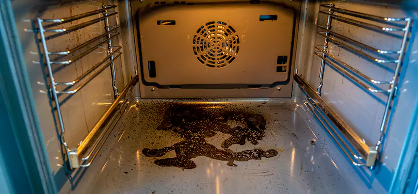 Our Dryer Vent Mold Cleaning Services in Springfield, VA