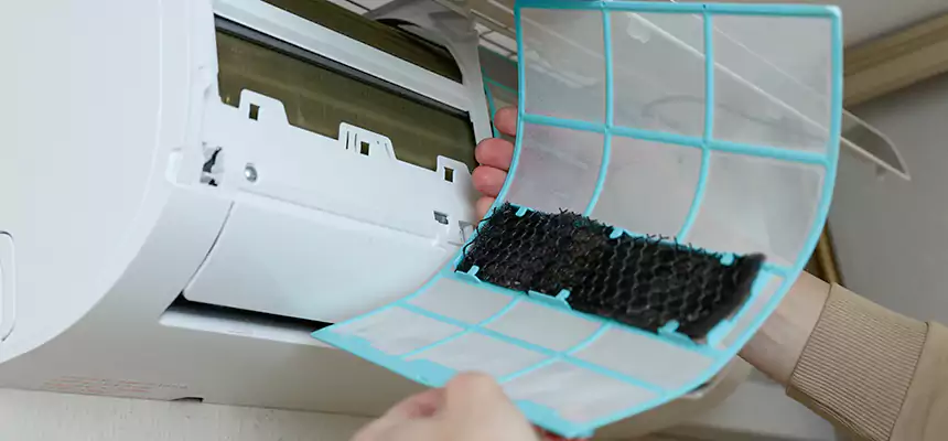 Gentle Ductwork Odor-Control Pet Dander Duct Cleaning in Springfield, VA