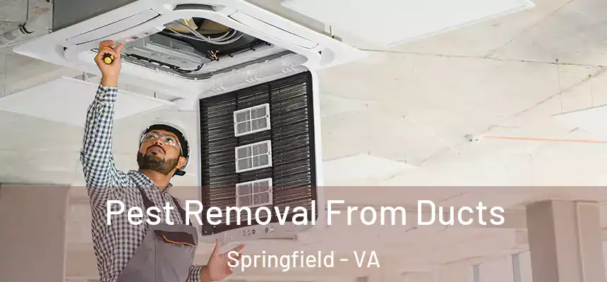 Pest Removal From Ducts Springfield - VA
