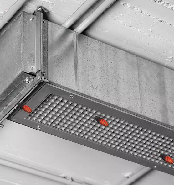 About Air Duct Cockroach Removal in Springfield, VA