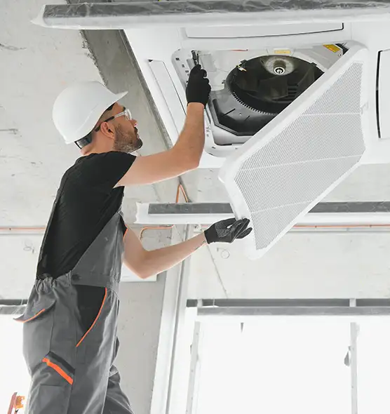 About Air Duct Rodent Removal in Springfield, VA