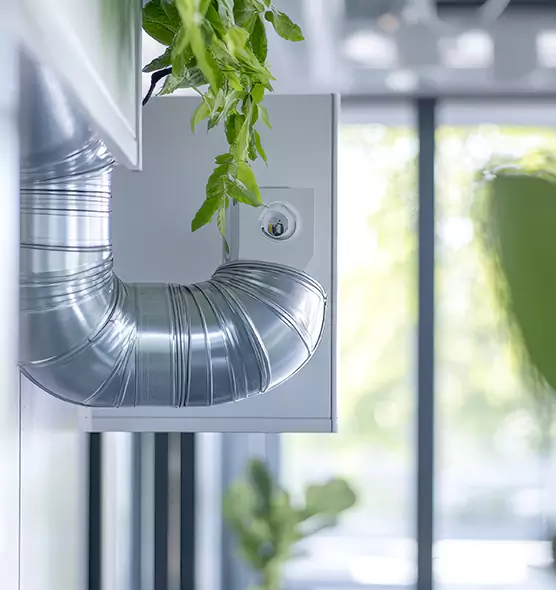 Professional Eco-Safe Dryer Vent Cleaning in Springfield, VA