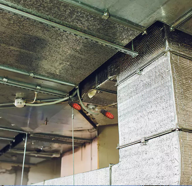 Why Homeowners & Businesses Trust Us Springfield, VA?