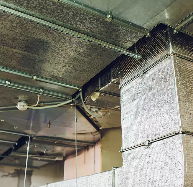 Why Homeowners & Businesses Trust Us in Springfield, VA?